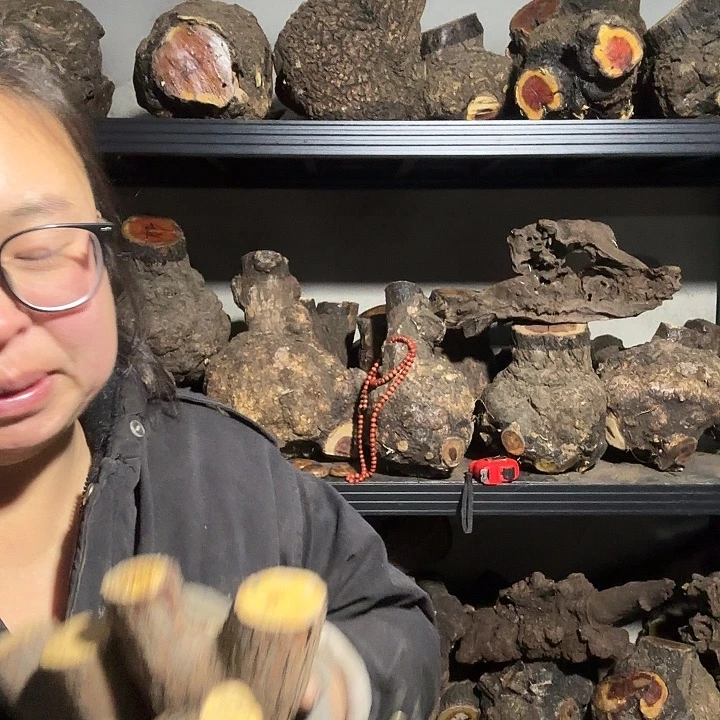 品***！香榧木火琉璃的故事是一个人