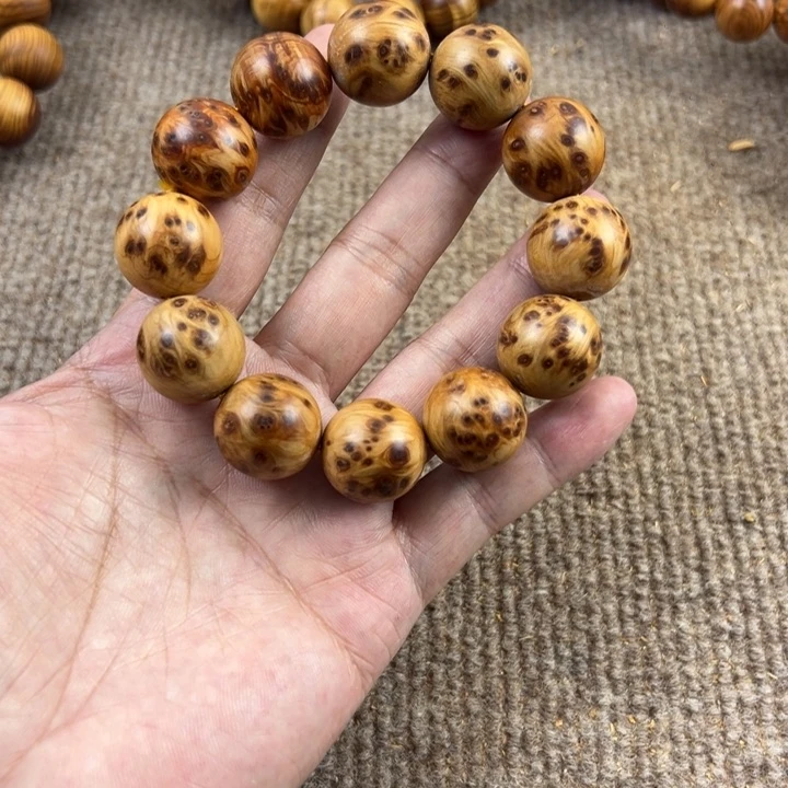 木太行崖柏2.0。。。。。。。。