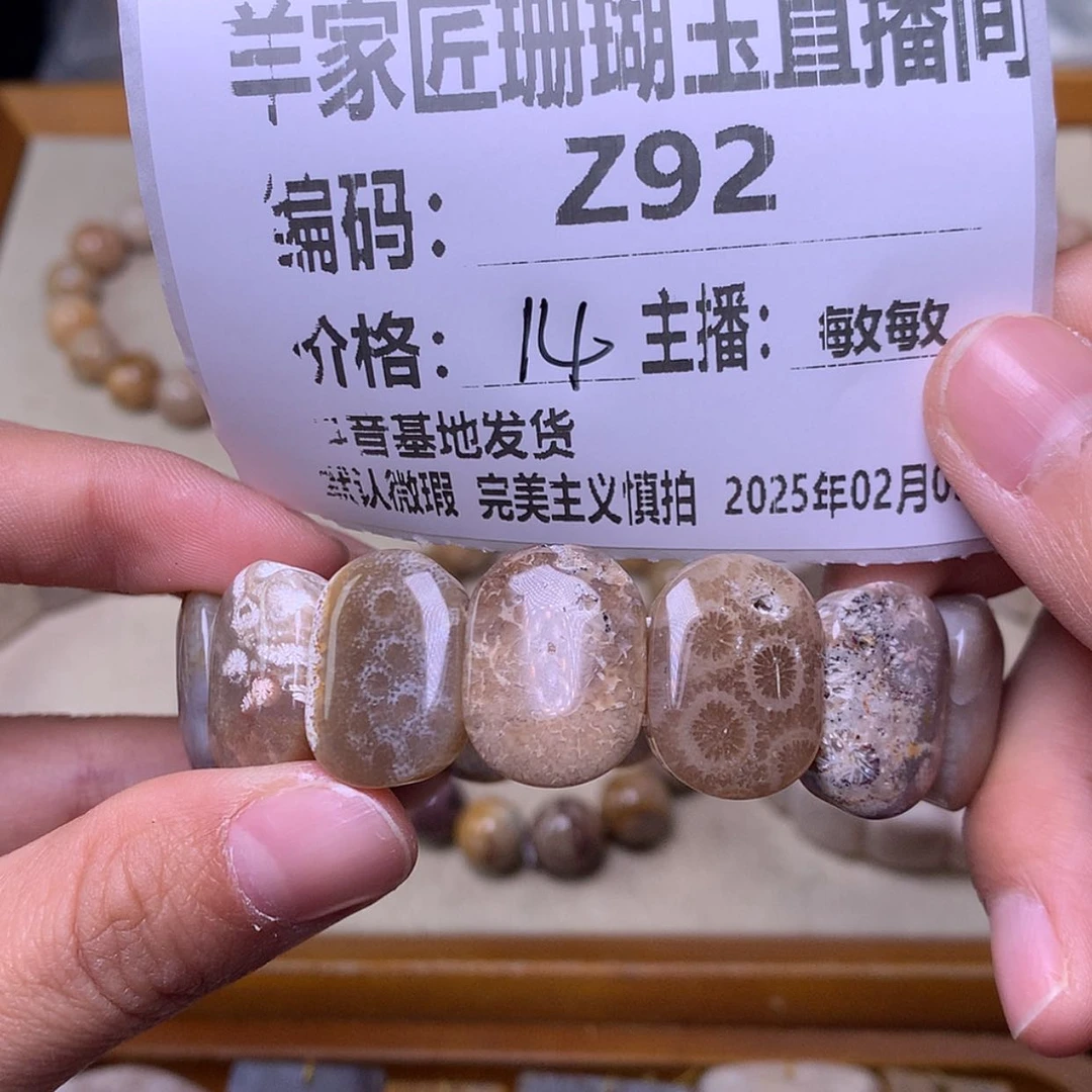 【闪购商品】硅化珊瑚（珊瑚玉）颈饰未镶嵌无*春Z92
