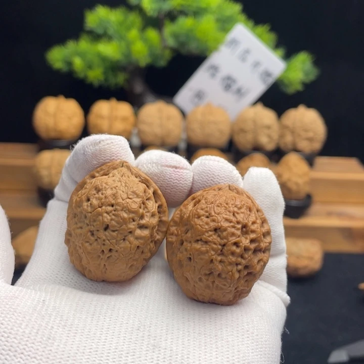 把件文玩核桃云南铁核桃41