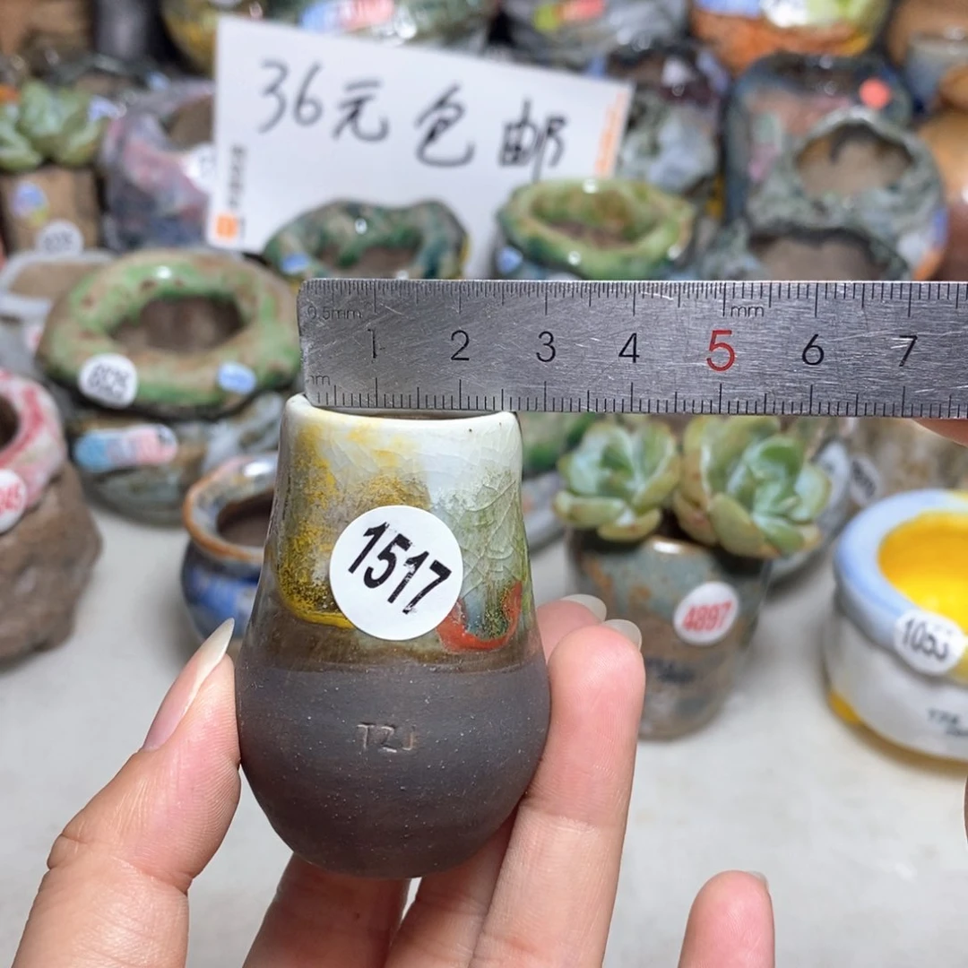 拍5送一个小礼物