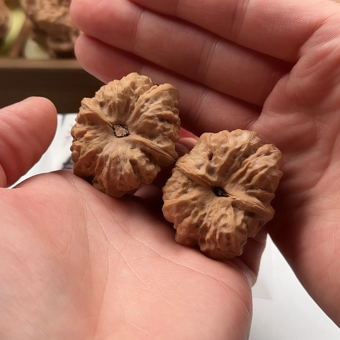 核桃把件延庆蛤蟆