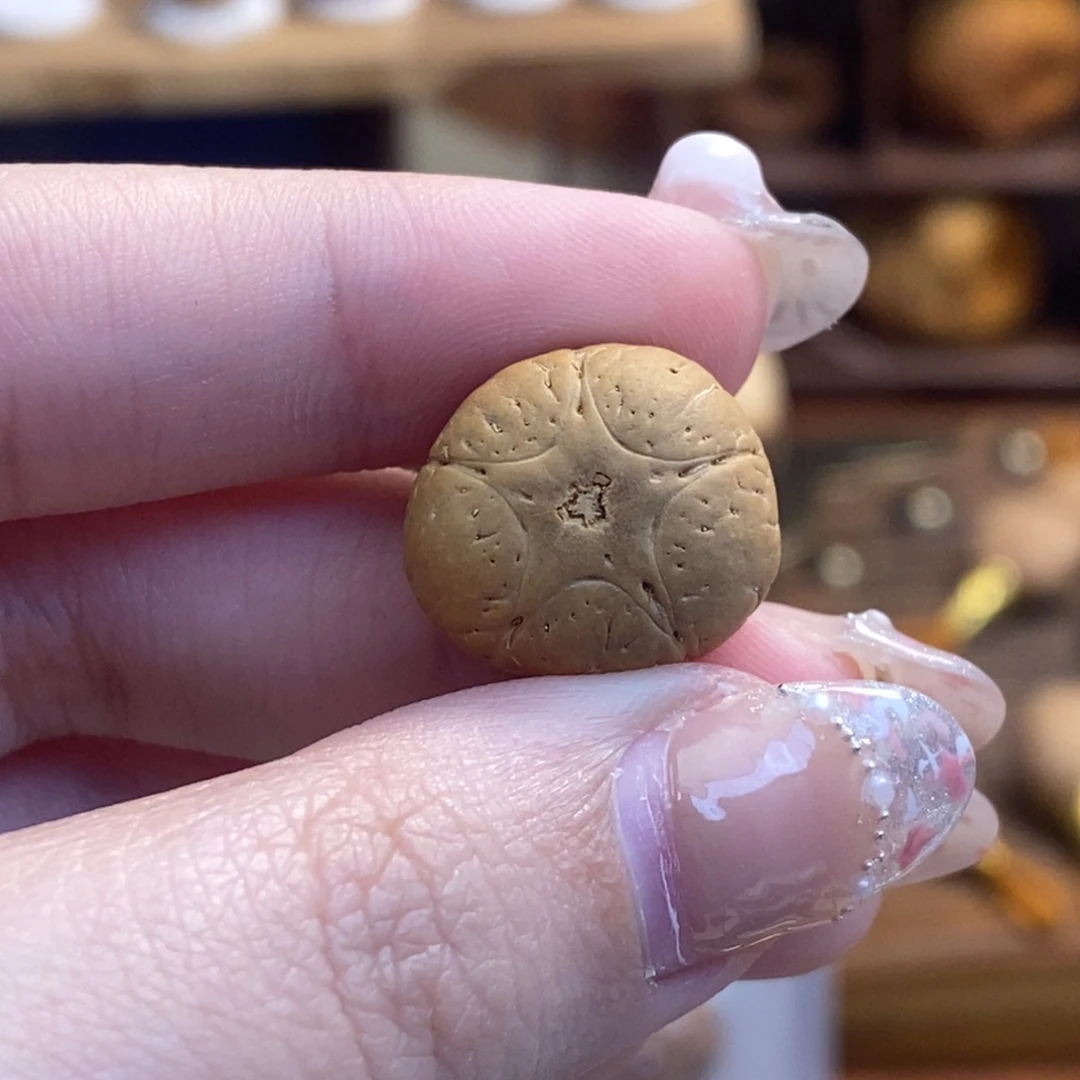 凤眼菩提吊坠五星