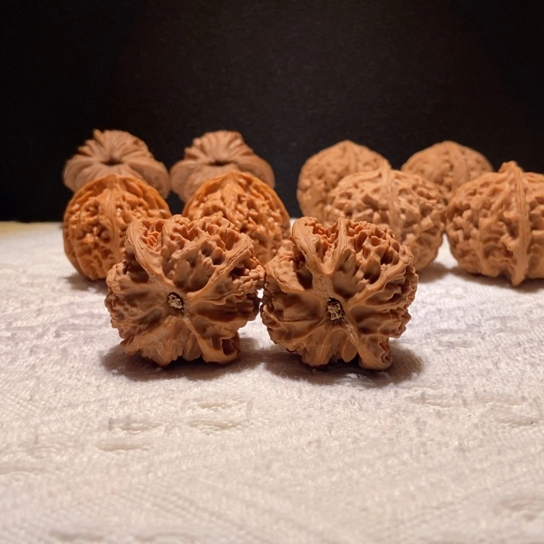 小***黑极品苹果园，43尺，