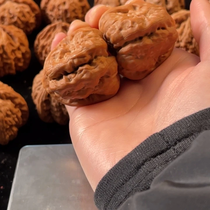 大叶紫檀（黑酸枝木类）