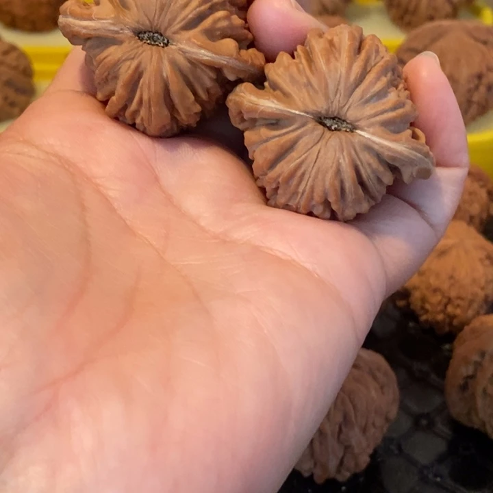 而***过核桃文玩四座楼 41