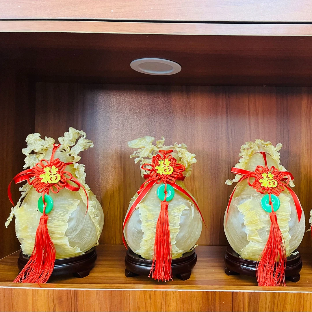 灯笼胶 横直鱼胶 横直来财 男人胶