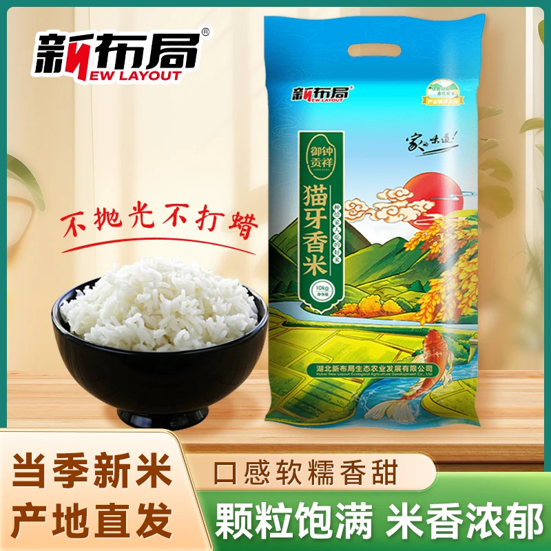 猫牙香米长粒香米煲仔饭专用大米