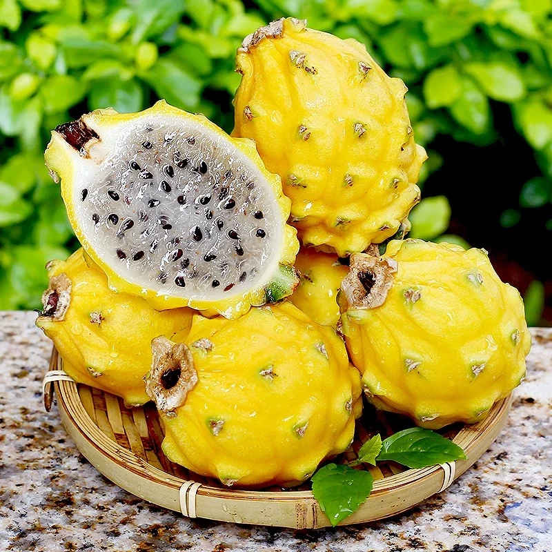 S 海南燕窝果/鲜嫩多汁/礼盒装2-4斤