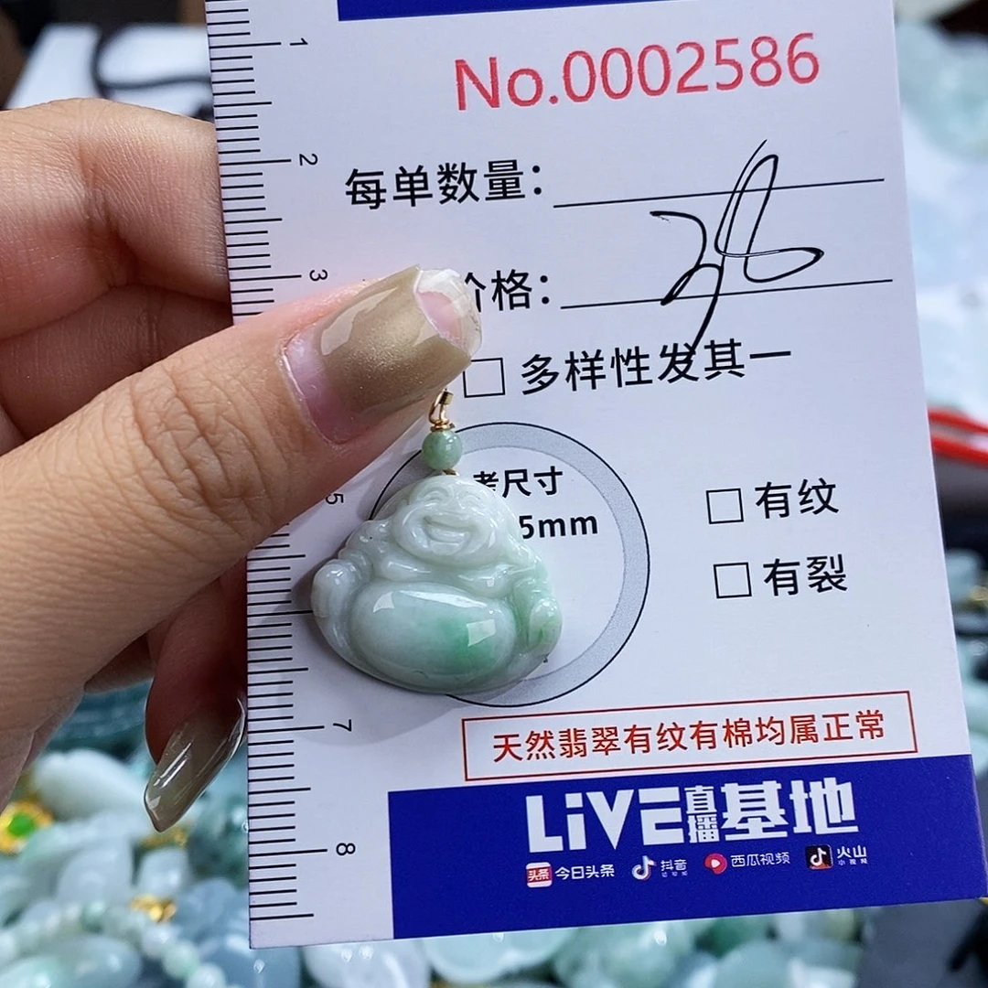 翡翠未镶嵌颈饰2586