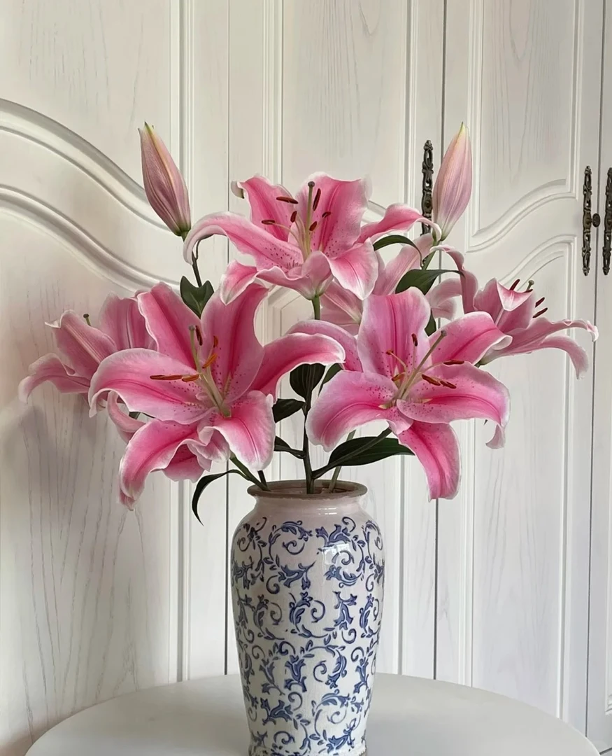 王的森林专属【粉色香水百合】云南鲜花基地直发顺丰包邮