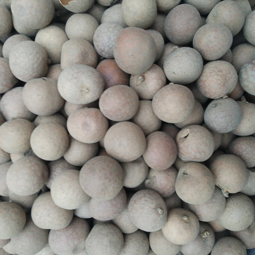 小雅云腾山货【桂圆干】云南山货