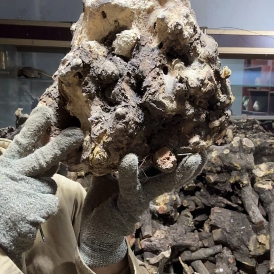 香榧木㣎*冉火琉璃的故事毛料