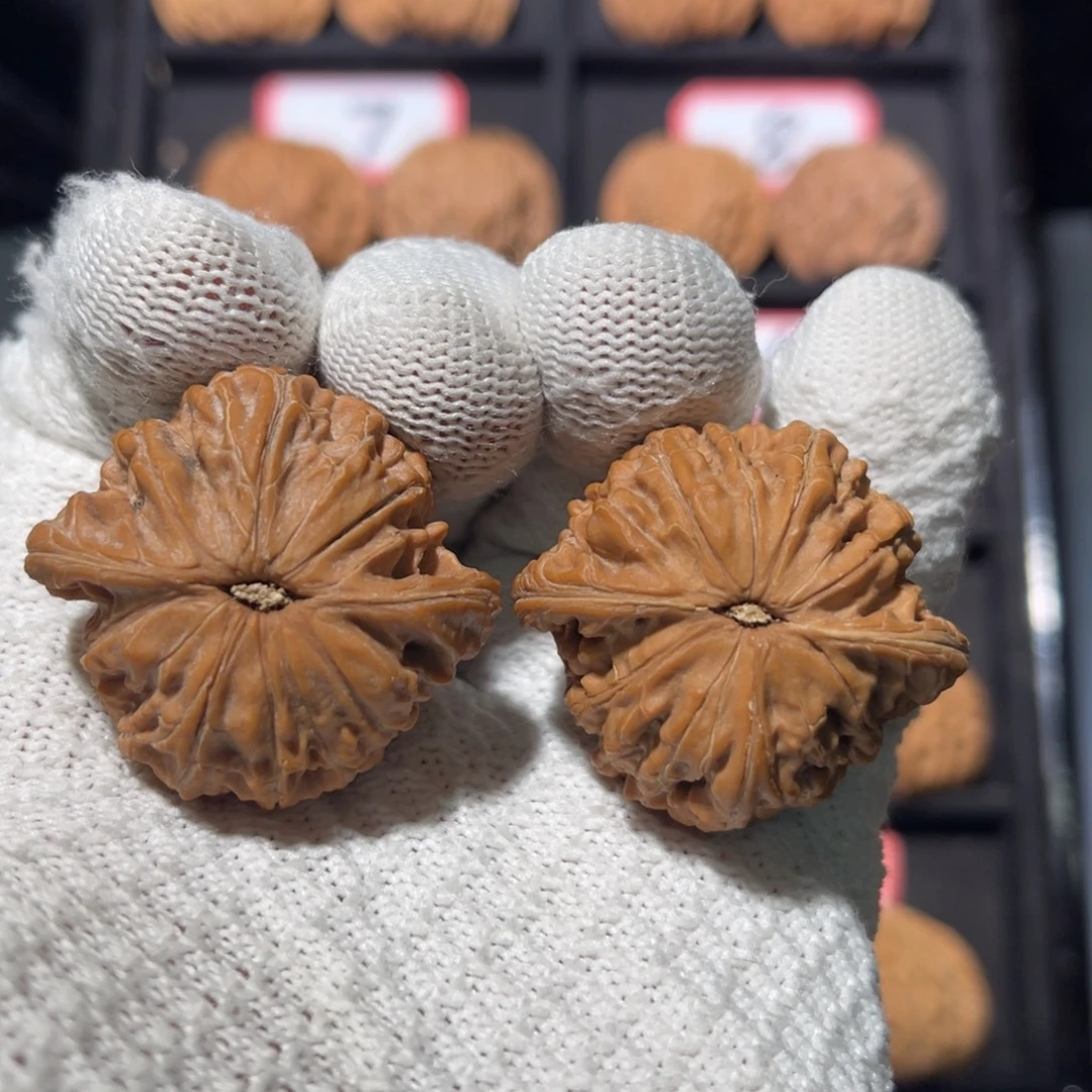 清***醒吊坠文玩核桃09秦皇岛山地果全品