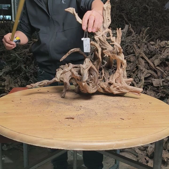 木鱼缸 造景水库 杜鹃根219