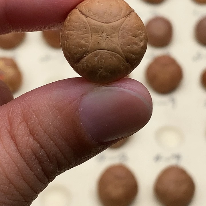 ****猫凤眼菩提手串麒麟