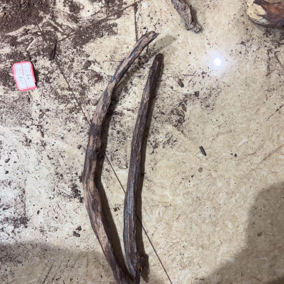 手****黄花梨/降香黄檀老料