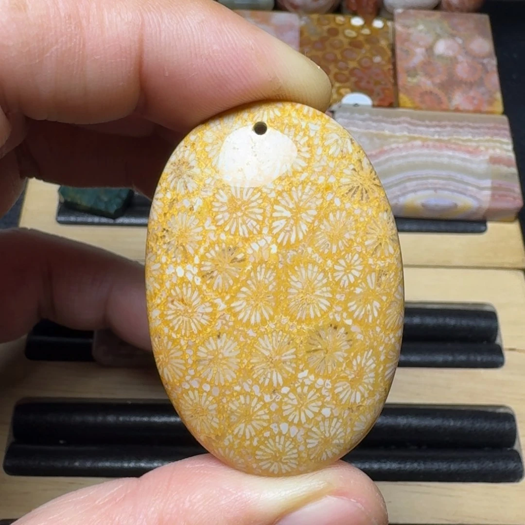 硅化珊瑚（珊瑚玉）纯天然色有机玉石未镶嵌