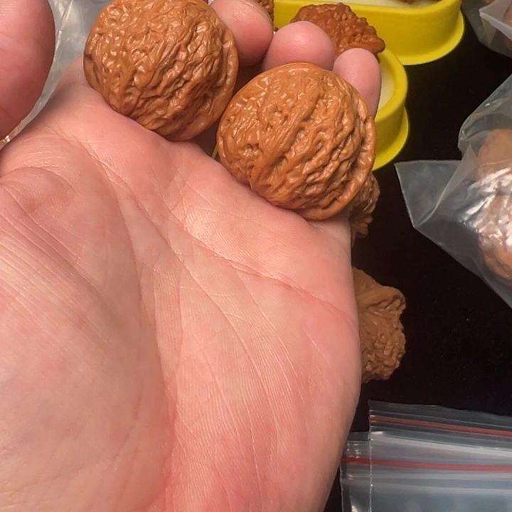 核桃铁锤，35，已打底