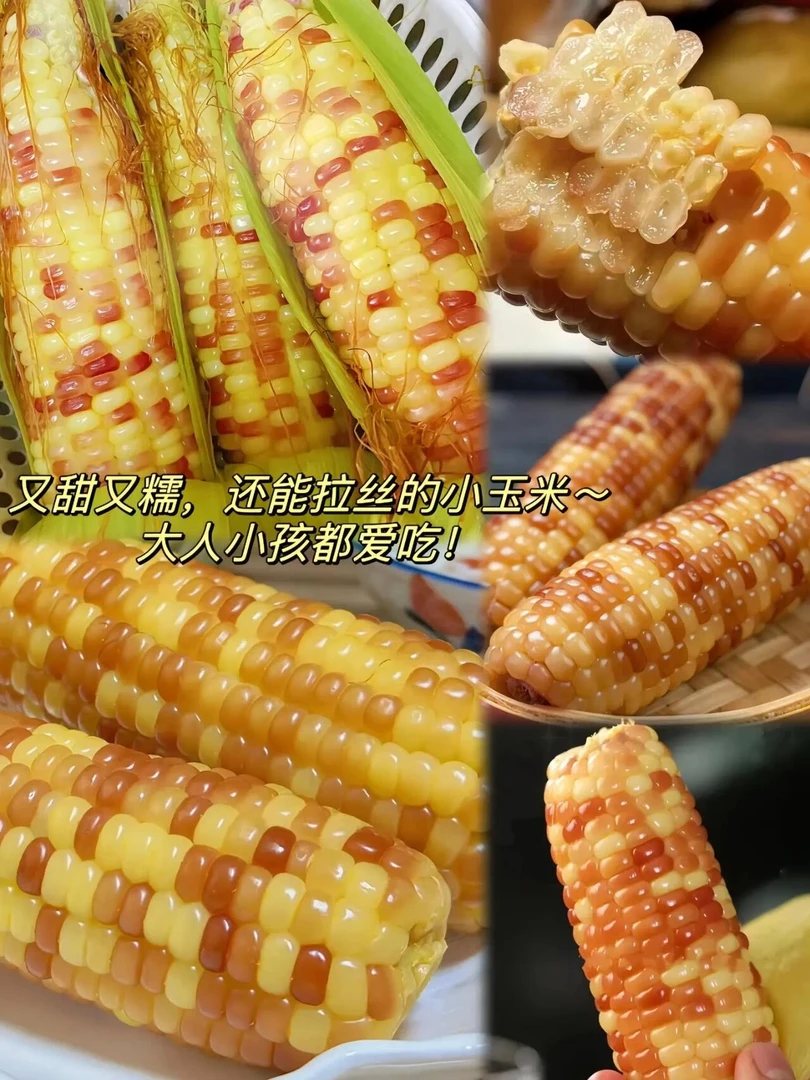 巨沃鲜糯花玉米 净粒重4斤