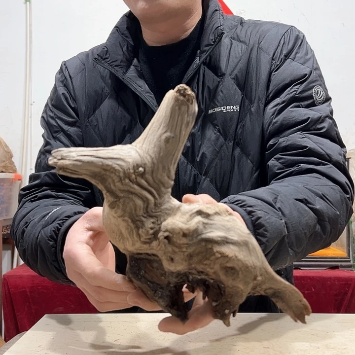 柏木橡***你我们的生活是以自己