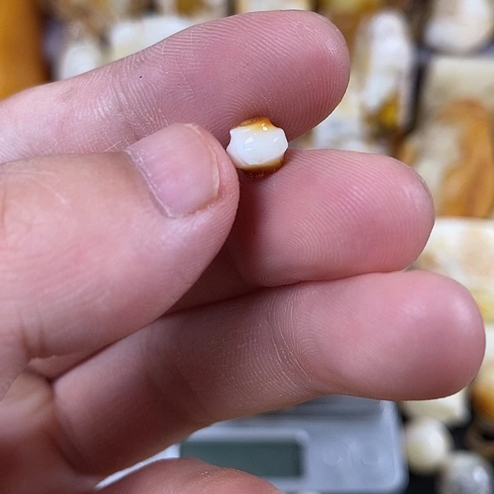 ****儿未镶嵌琥珀裸石我