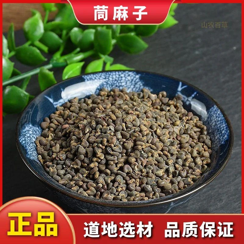 茼麻子中药材野生茼麻籽苘麻子新货青麻子苘实顷麻子散装非五味子