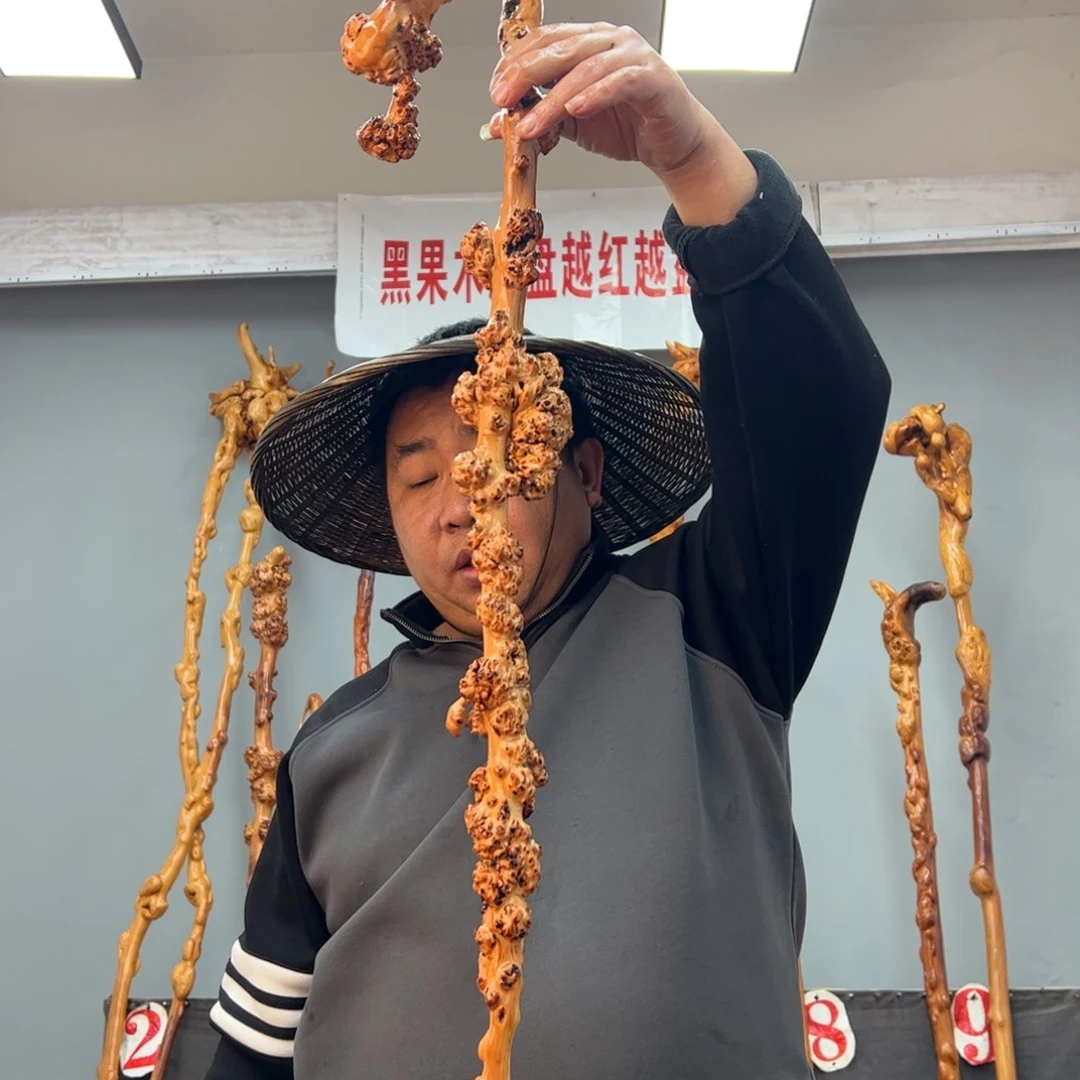 黑果木其他流*人黑果木598