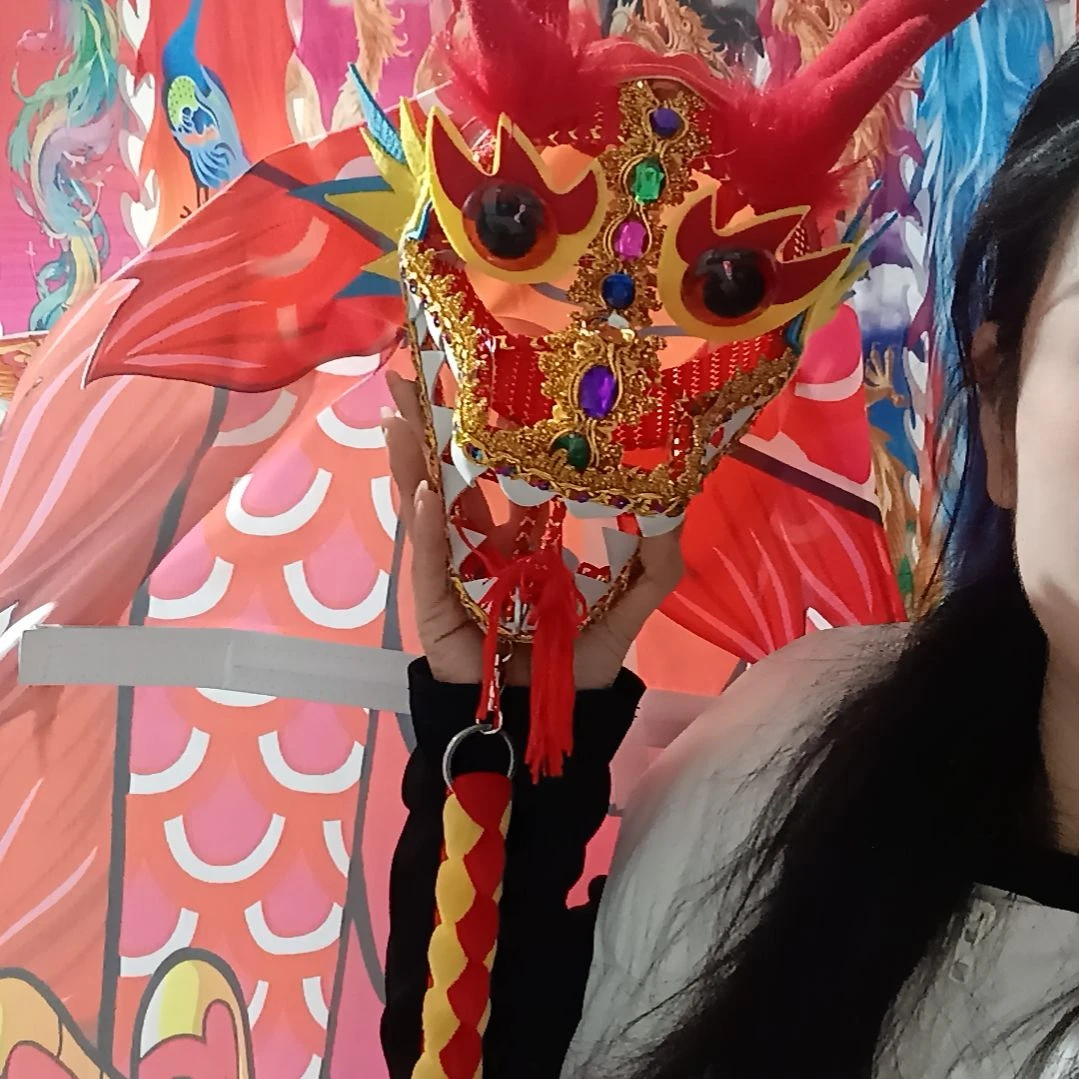 睿轩七彩飞龙六米全套