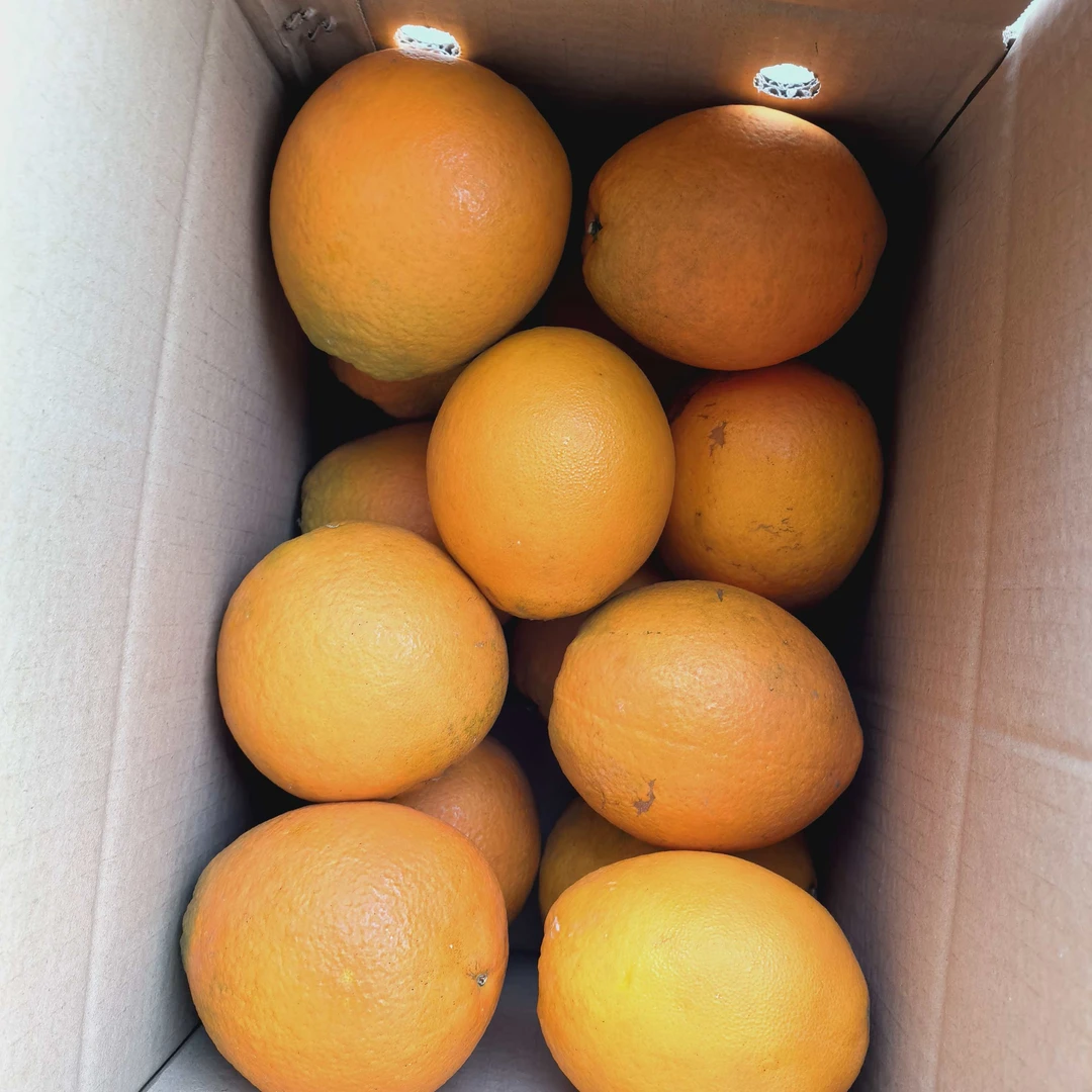 张家界市岩嘎嘎奇橙新鲜水果产地直发果园现摘皮薄多汁甜橙子