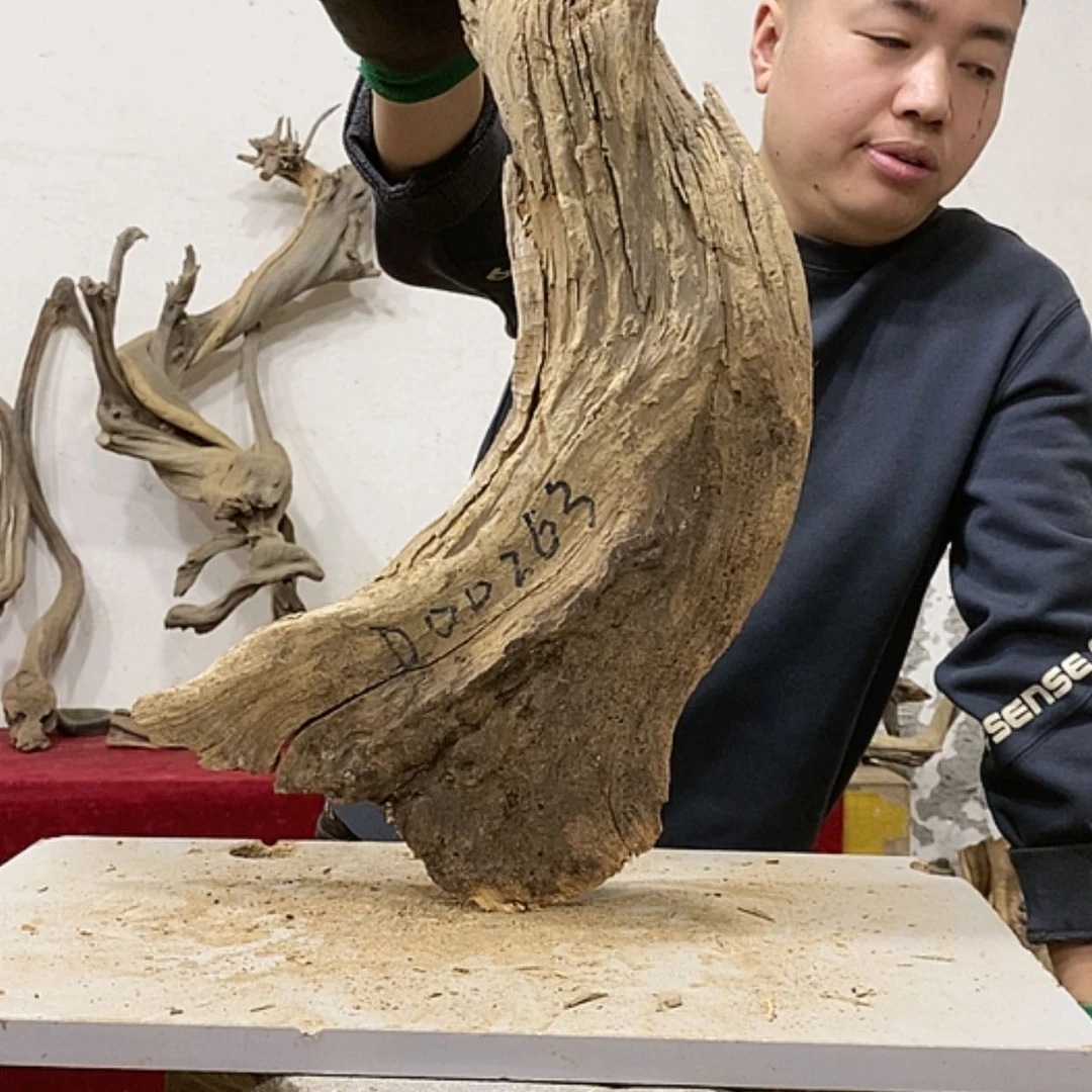 【闪购商品】柏木展****）我们都是好孩子