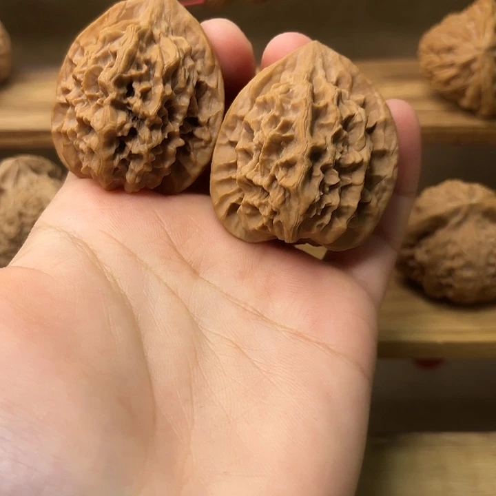 大帝王40尺全品无修