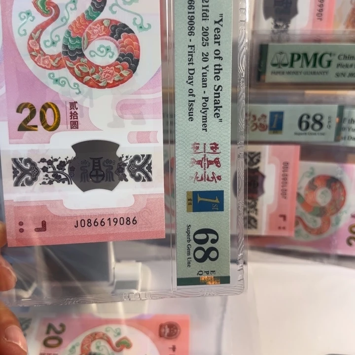 塑料J086619086.    蛇