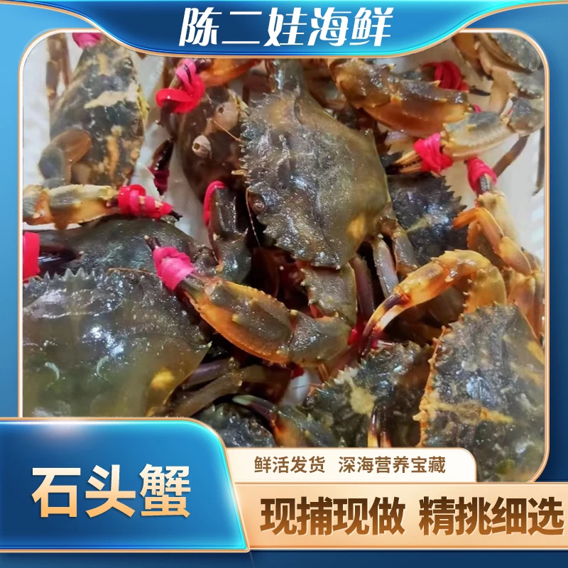 （鲜活）（石头蟹）（500g）