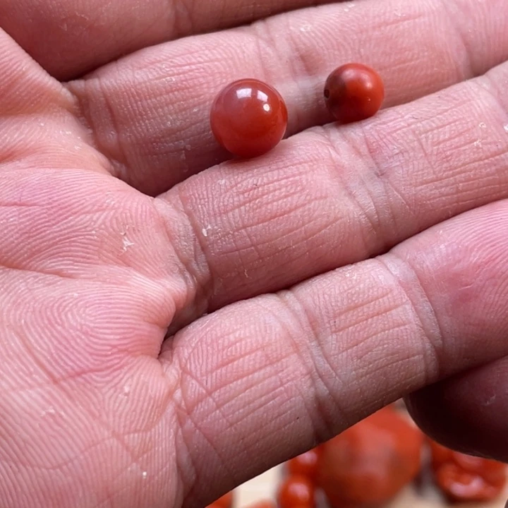 南红玛瑙合金颈饰