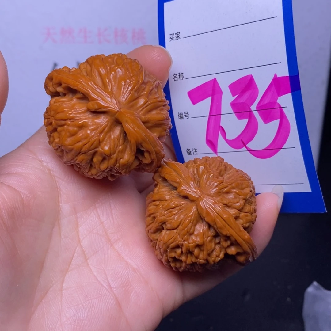 文玩核桃把件受**狼735/45闷白
