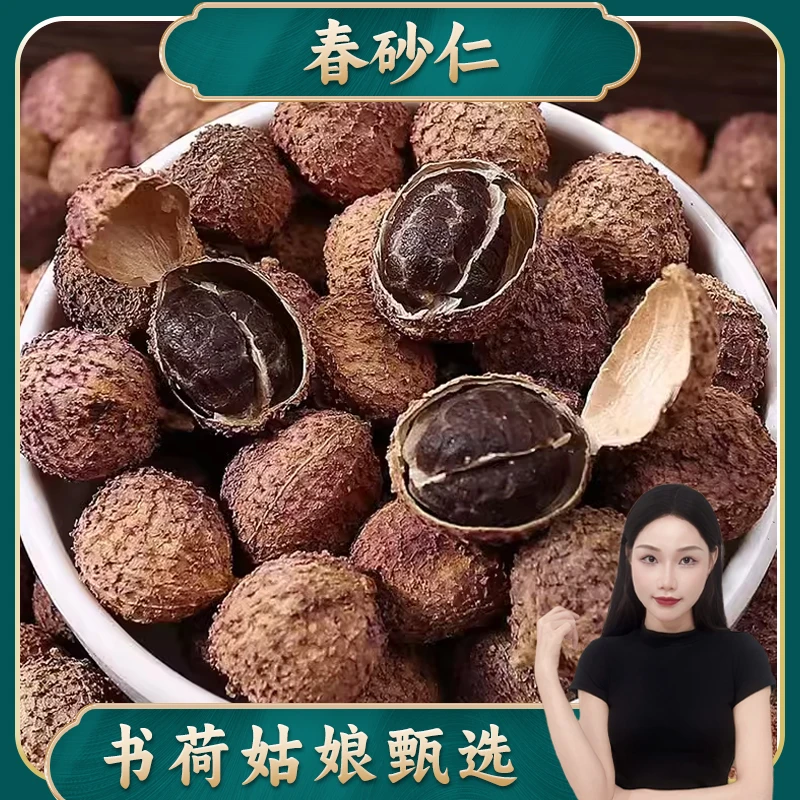 阳春春砂仁250g 特产广东煲汤泡茶滋补无硫砂仁干春沙仁干根滋补