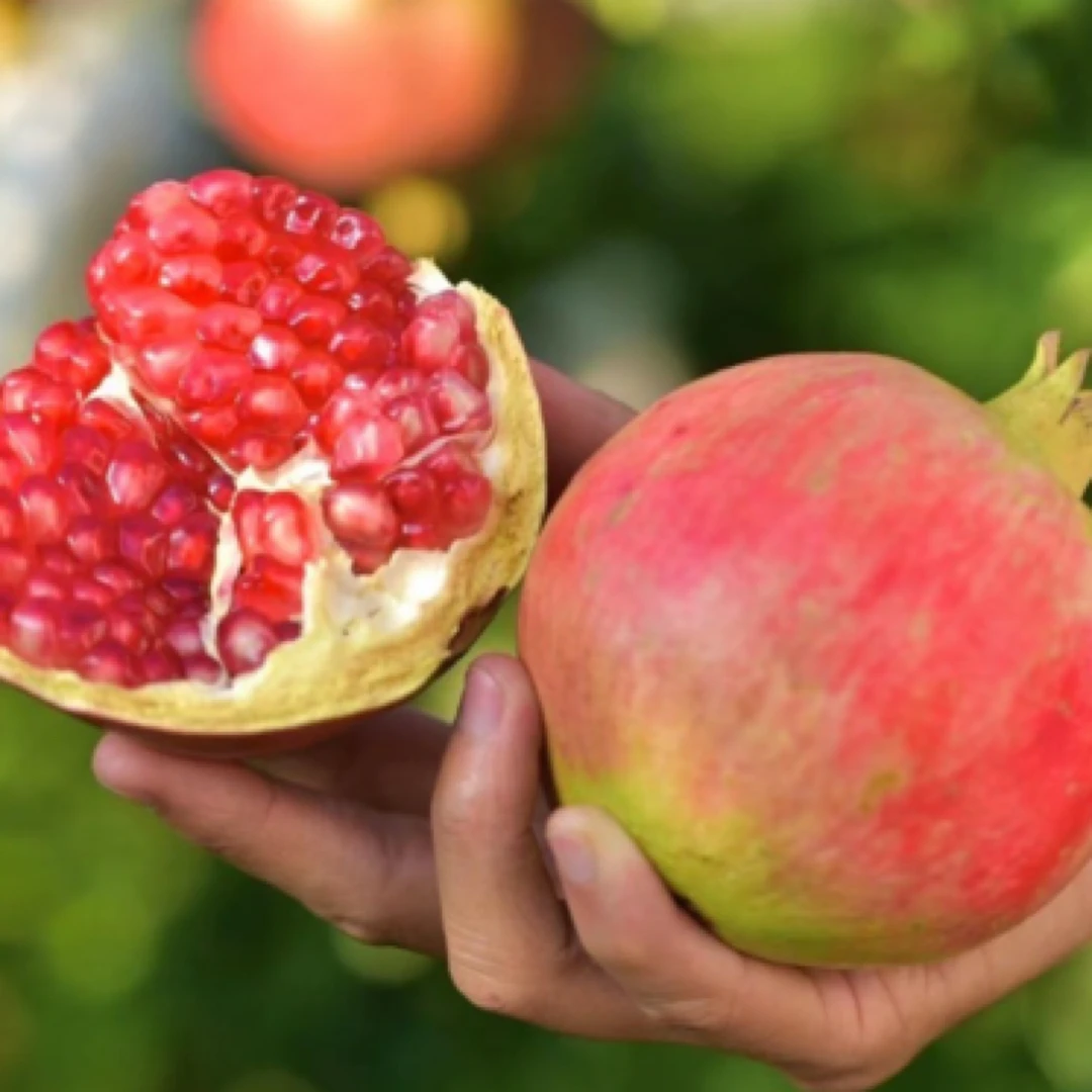 突尼斯软籽石榴5枚新鲜采摘水果精品当季孕妇红宝石纯甜云南省