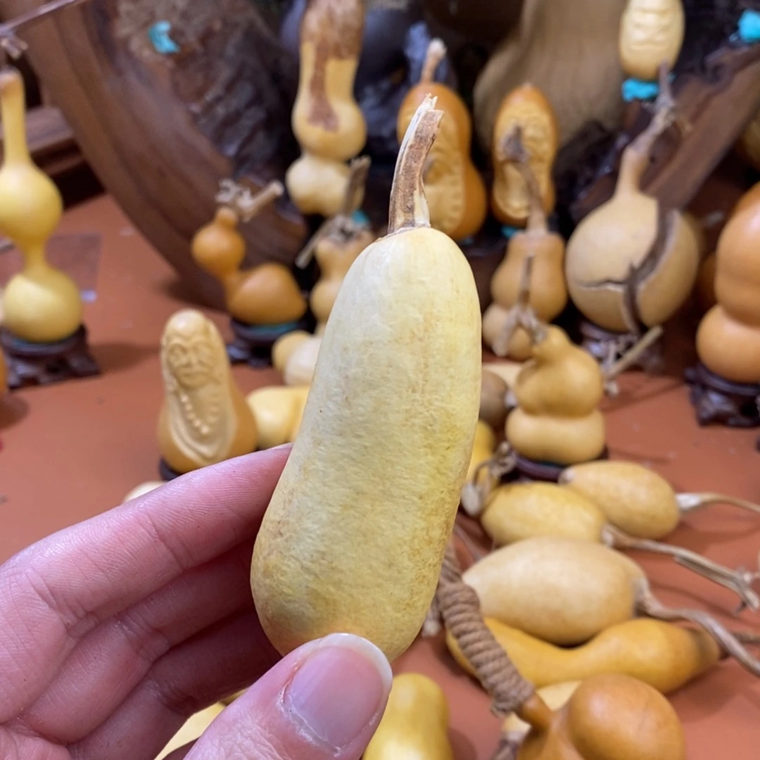 文***斗教练咯教练咯考虑