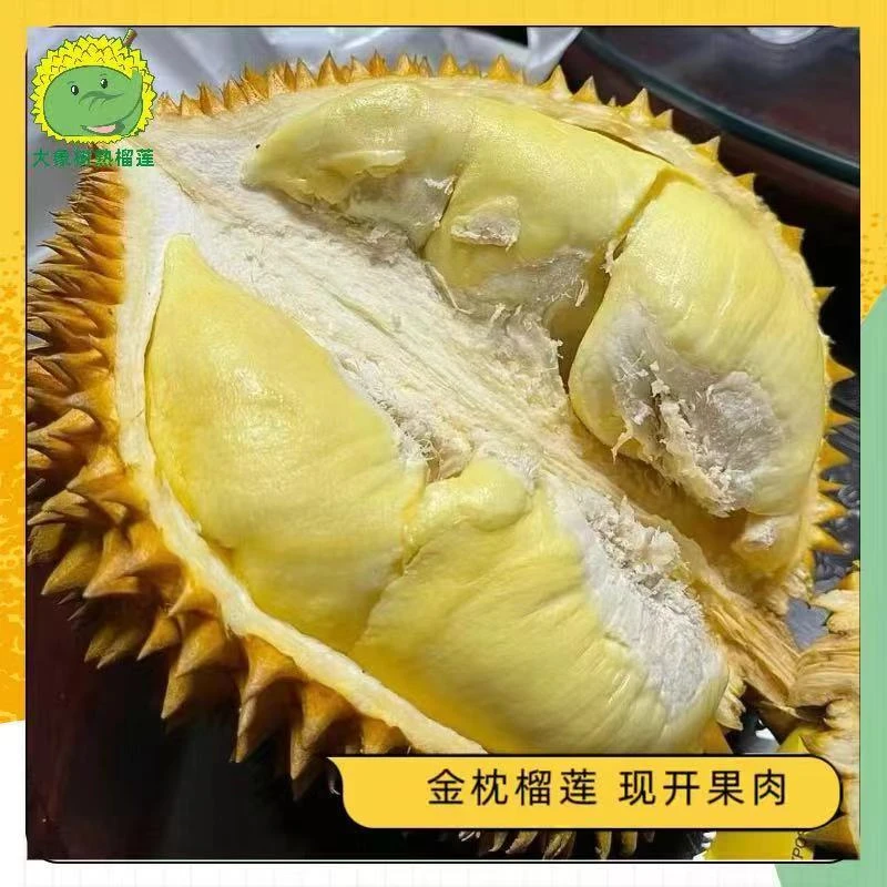 【东门2】纯果肉（1斤）金枕榴莲新鲜现开 深圳小时达【大象树熟榴莲】榴莲同城配