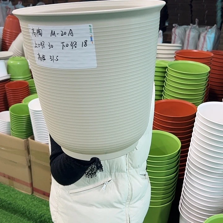 正品高陶口30高31米色无托3只