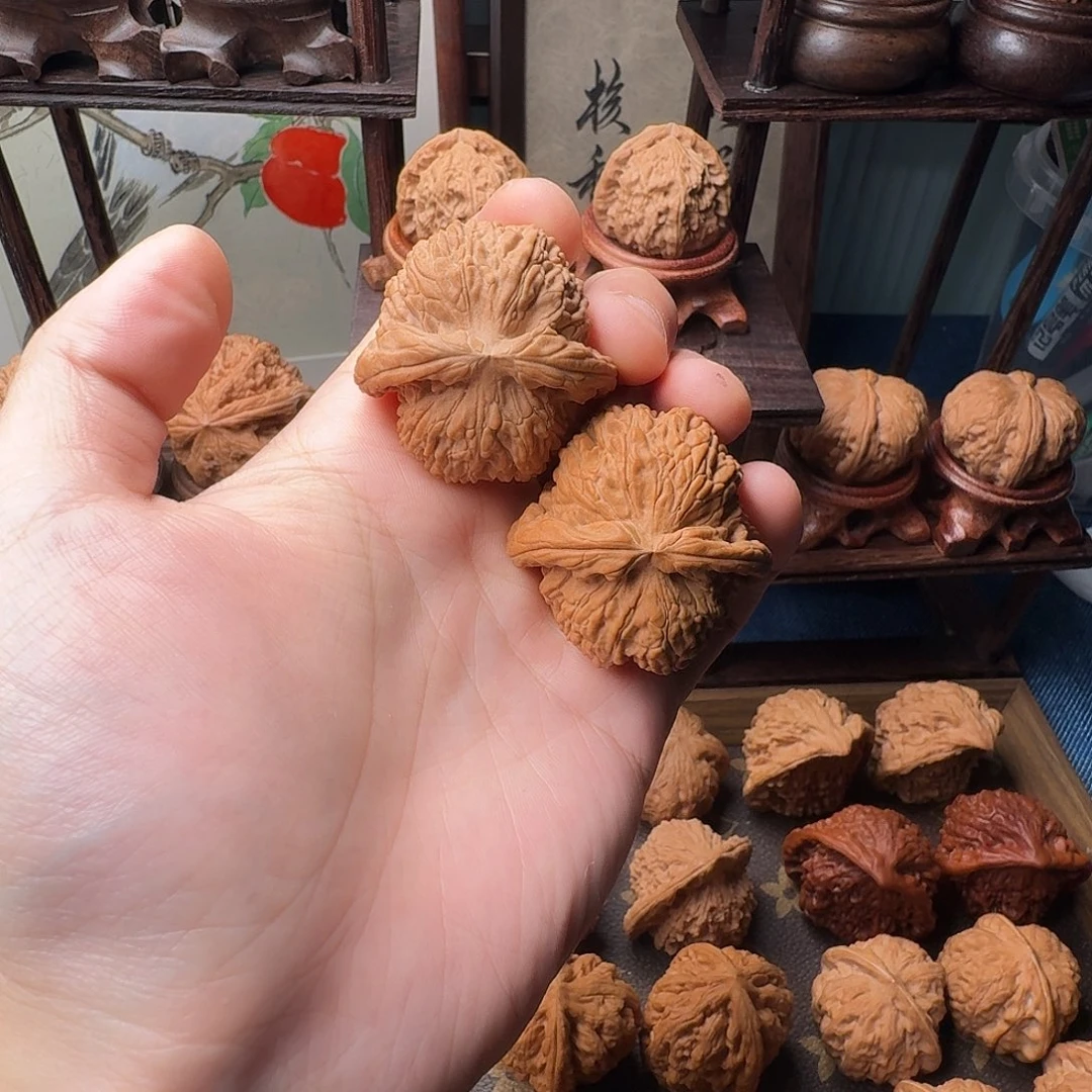 核桃白狮子666888