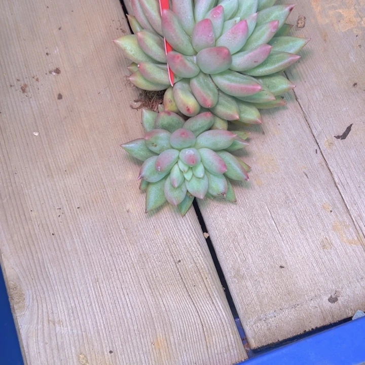 878//////////////////////