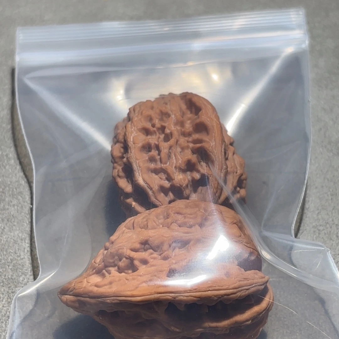 桃核吊坠大沽石核桃