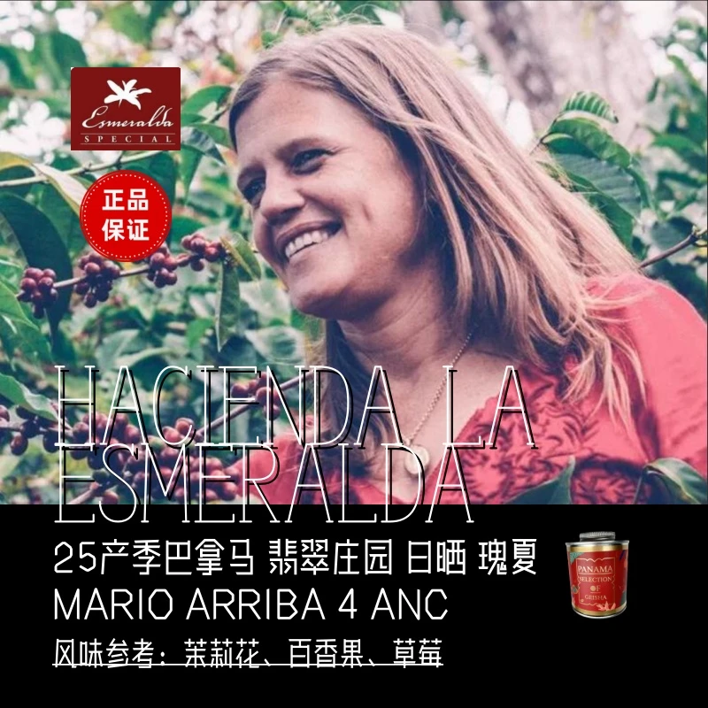 25产季巴拿马翡翠庄园红标瑰夏Mario ARRIBA 4ANC.咖啡豆