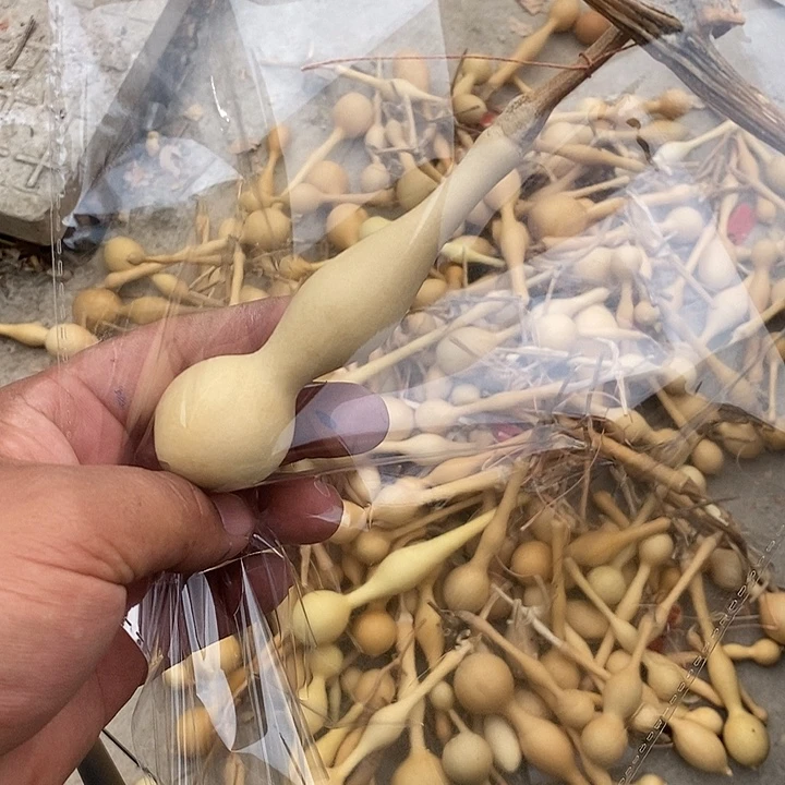 ****️手把精品文玩葫芦