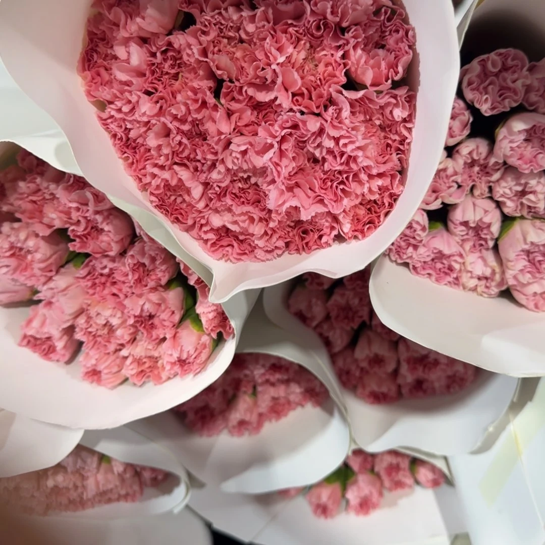粉钻3扎包邮秒杀价