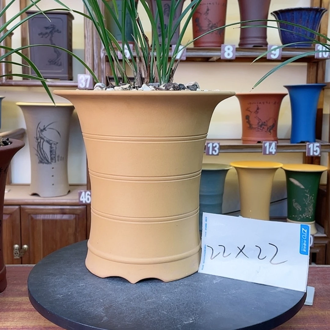 【闪购商品】紫砂花盆兰花555988556688442558