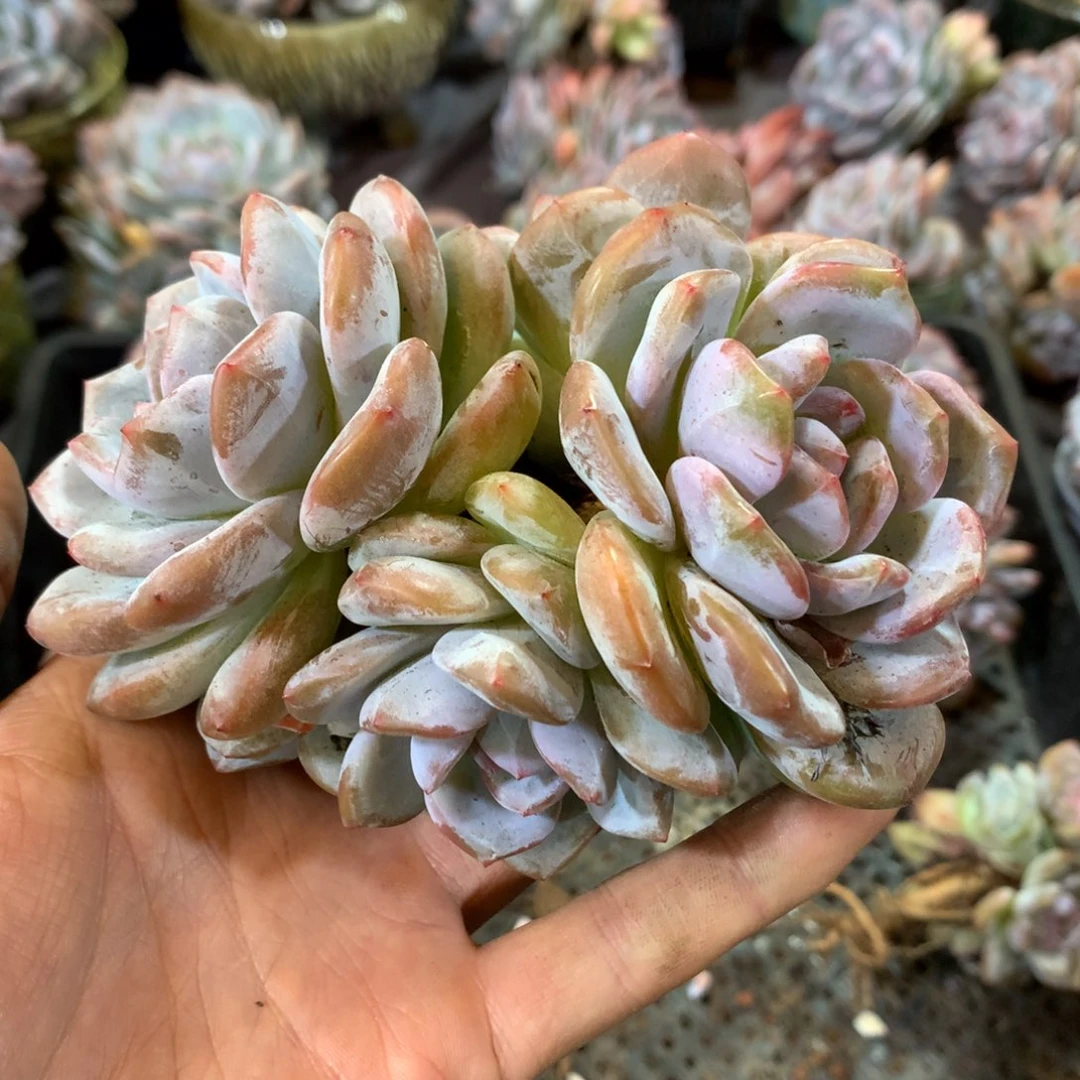 哈哈哈哈哈哈哈哈哈哈