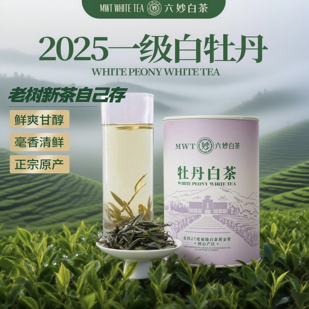 六妙茶叶福鼎白茶2025年老树白牡丹散茶自己喝口粮茶罐装60g